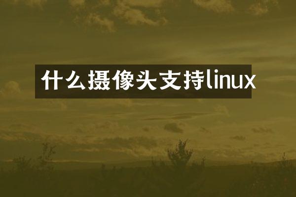 什么摄像头支持linux