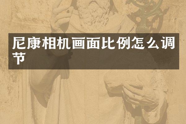 尼康相机画面比例怎么调节