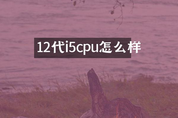 12代i5cpu怎么样