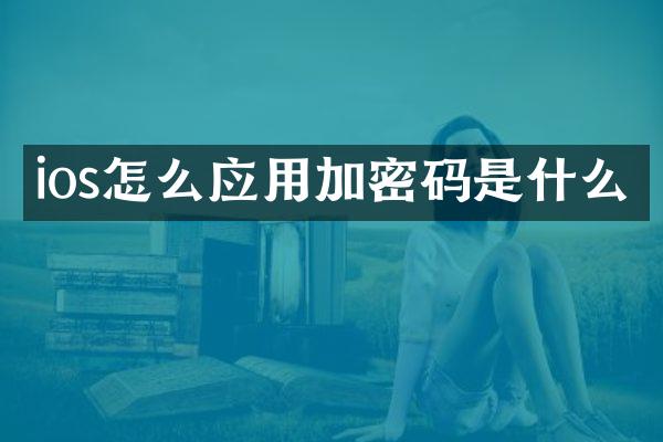 ios怎么应用加密码是什么