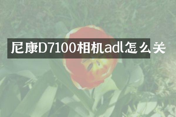 尼康D7100相机adl怎么关