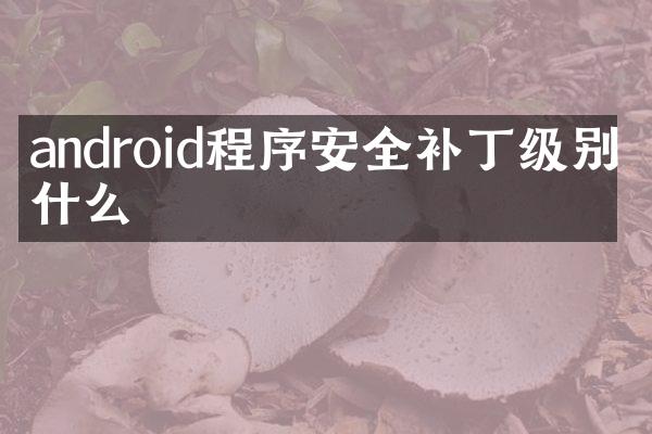 android程序安全补丁级别是什么