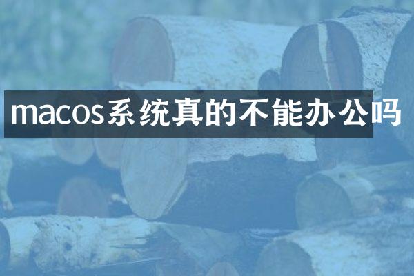macos系统真的不能办公吗