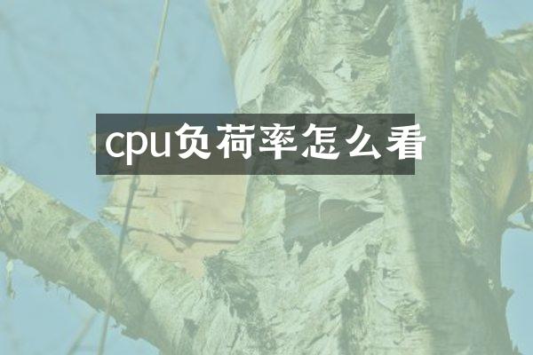 cpu负荷率怎么看