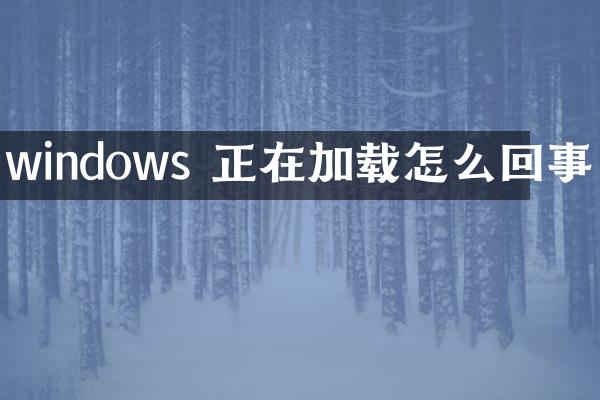 windows 正在加载怎么回事