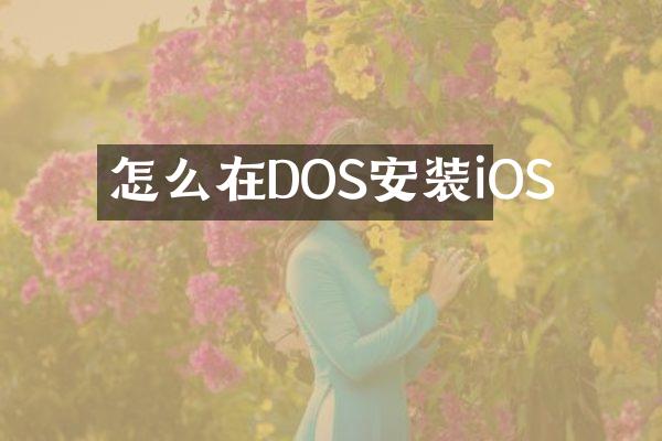 怎么在DOS安装iOS
