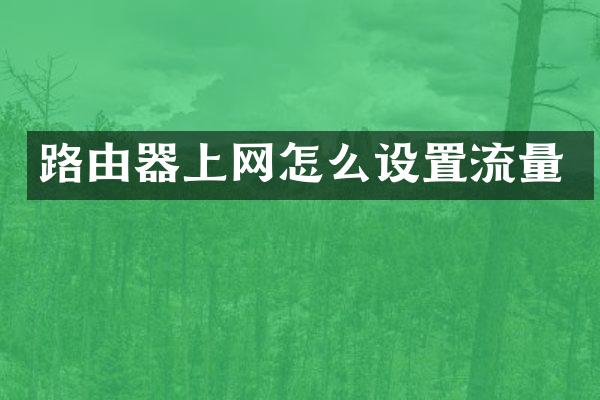 路由器上网怎么设置流量