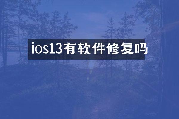 ios13有软件修复吗