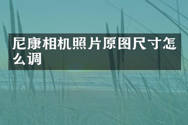 尼康相机照片原图尺寸怎么调