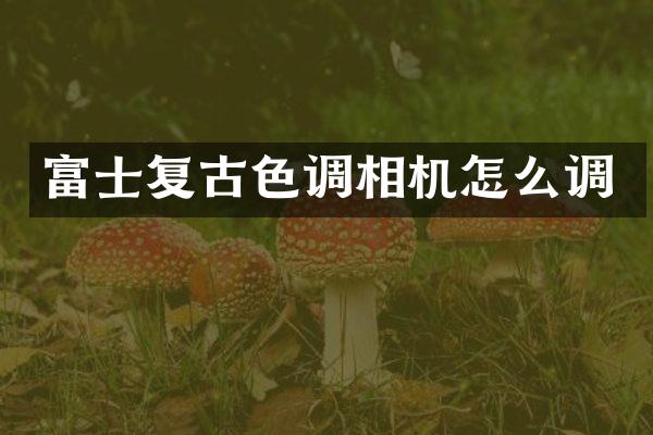 富士复古色调相机怎么调