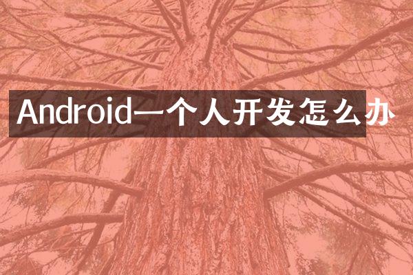 Android一个人开发怎么办