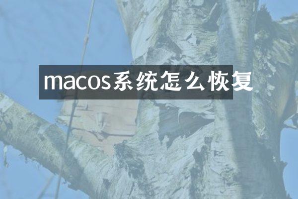macos系统怎么恢复