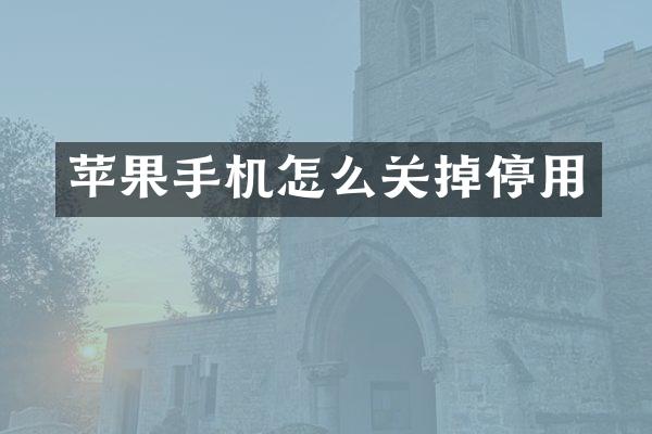 苹果手机怎么关掉停用
