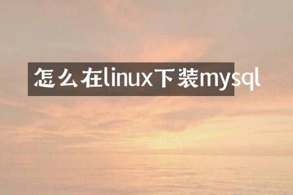 怎么在linux下装mysql