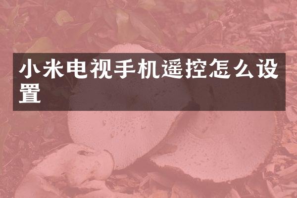 小米电视手机遥控怎么设置
