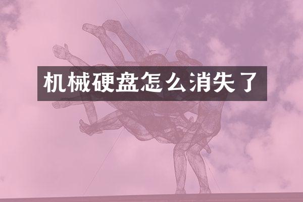 机械硬盘怎么消失了