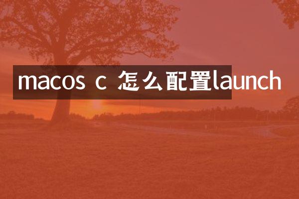 macos c 怎么配置launch