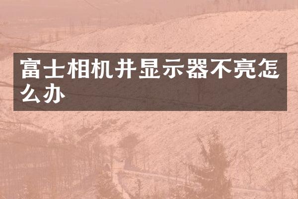 富士相机井显示器不亮怎么办