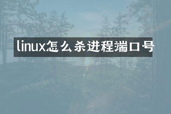 linux怎么杀进程端口号