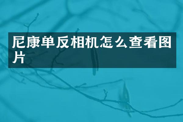 尼康单反相机怎么查看图片