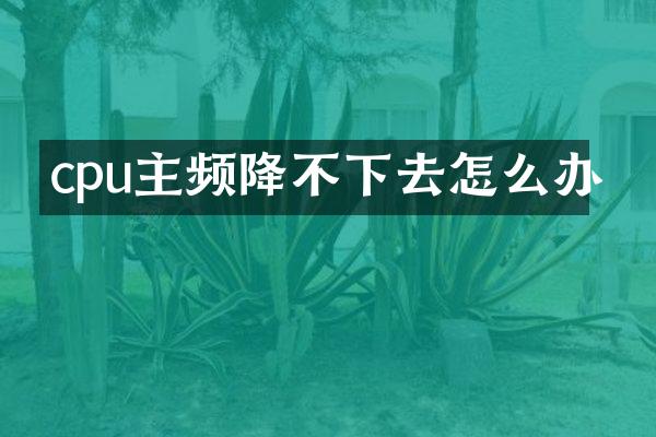 cpu主频降不下去怎么办