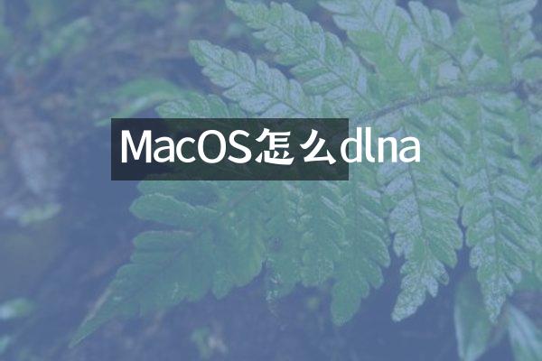 MacOS怎么dlna
