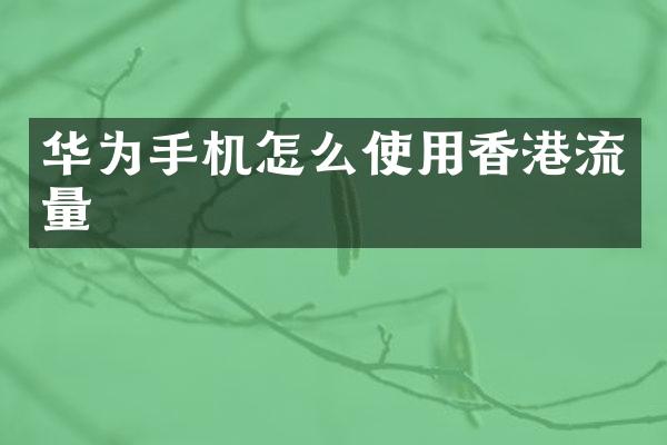 华为手机怎么使用香港流量