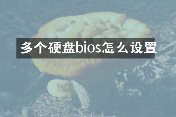 多个硬盘bios怎么设置