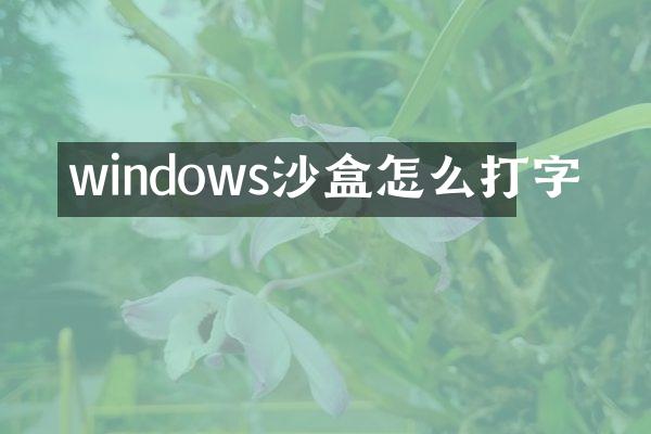 windows沙盒怎么打字