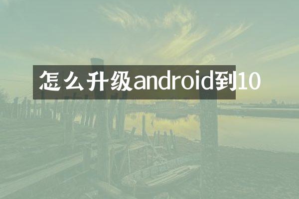 怎么升级android到10