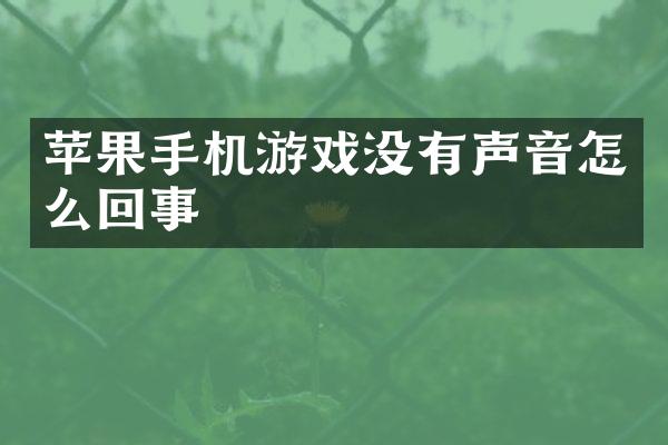 苹果手机游戏没有声音怎么回事