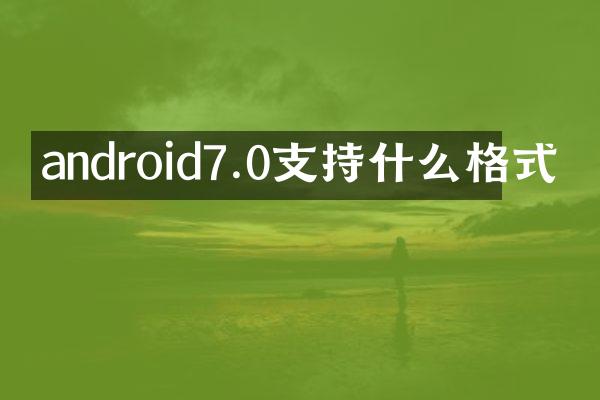 android7.0支持什么格式