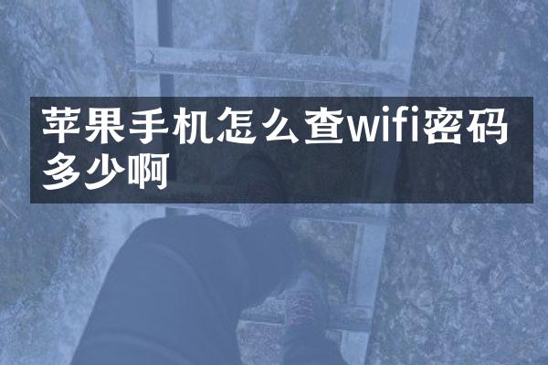 苹果手机怎么查wifi密码是多少啊