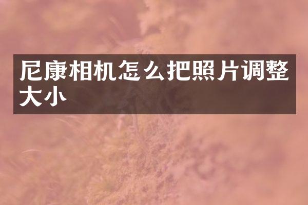 尼康相机怎么把照片调整大小