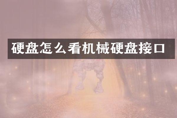 硬盘怎么看机械硬盘接口