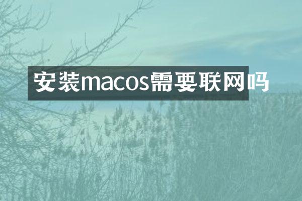 安装macos需要联网吗