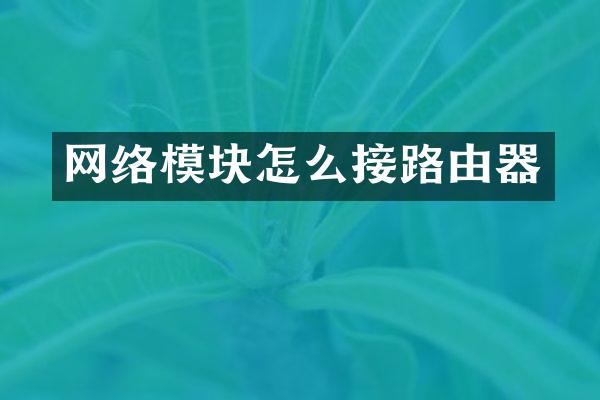 网络模块怎么接路由器