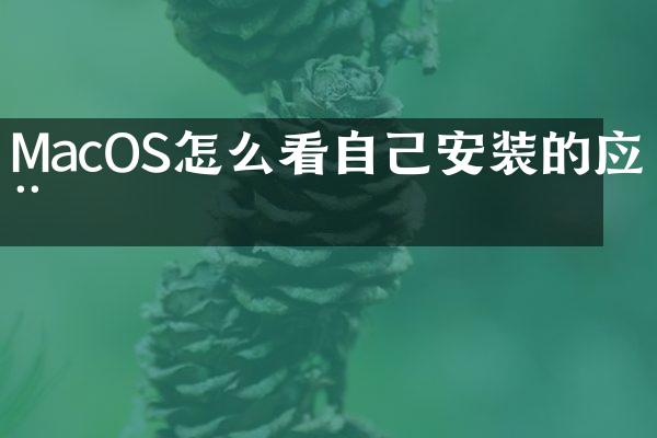 MacOS怎么看自己安装的应用