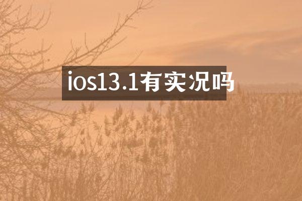 ios13.1有实况吗