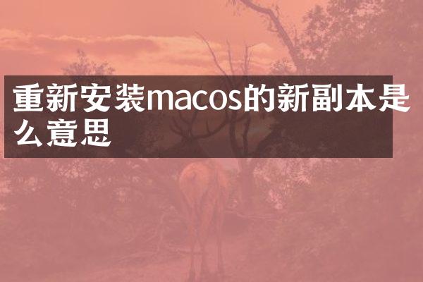 重新安装macos的新副本是什么意思