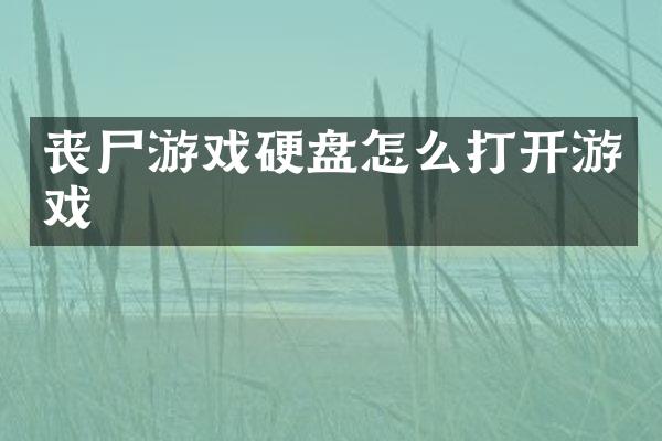 丧尸游戏硬盘怎么打开游戏