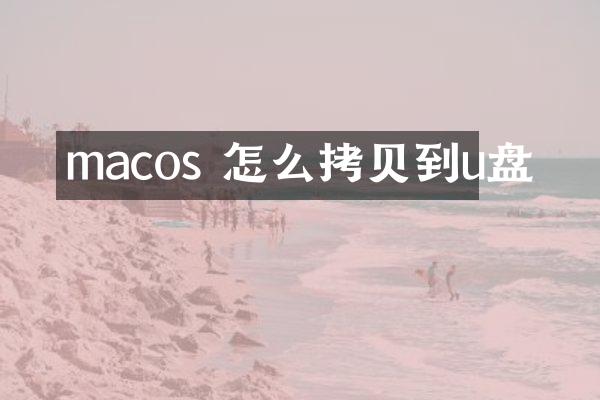 macos 怎么拷贝到u盘