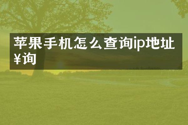 苹果手机怎么查询ip地址查询