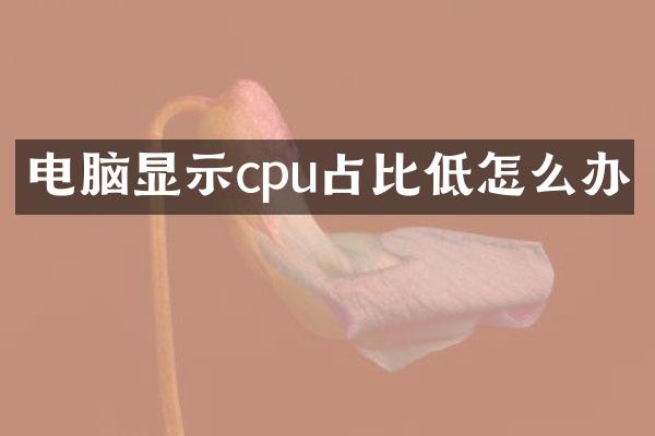 电脑显示cpu占比低怎么办