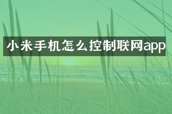 小米手机怎么控制联网app