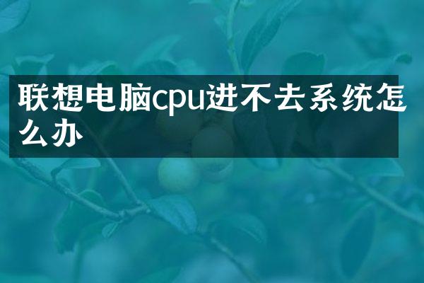 联想电脑cpu进不去系统怎么办