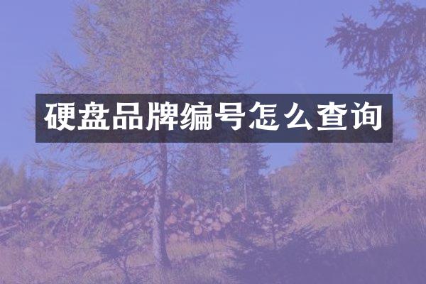 硬盘品牌编号怎么查询