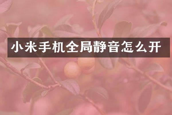 小米手机全局静音怎么开