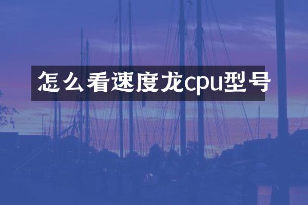 怎么看速度龙cpu型号