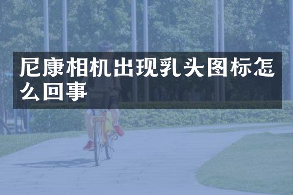 尼康相机出现标怎么回事